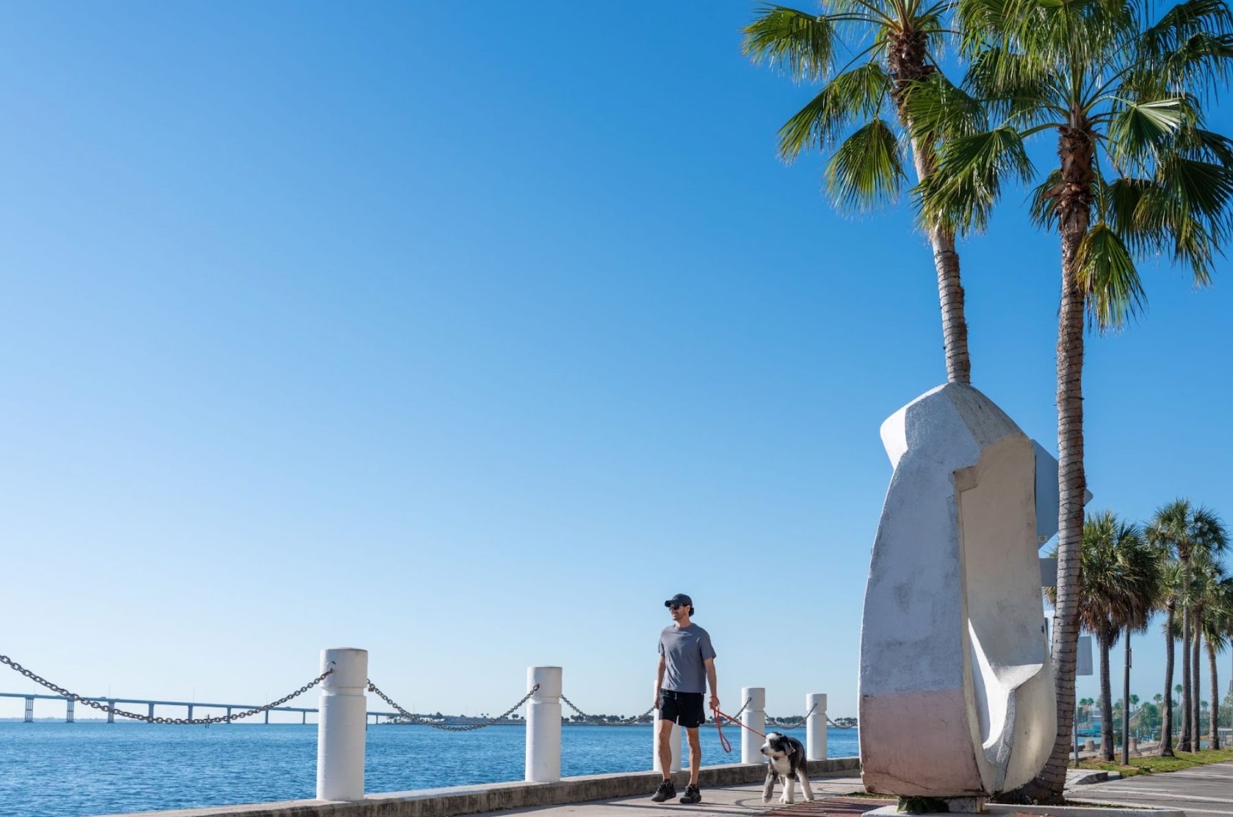 Vistas al mar cerca de The St. Regis Miami The Residences